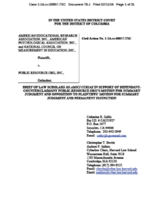 AERA Amicus Cover Page